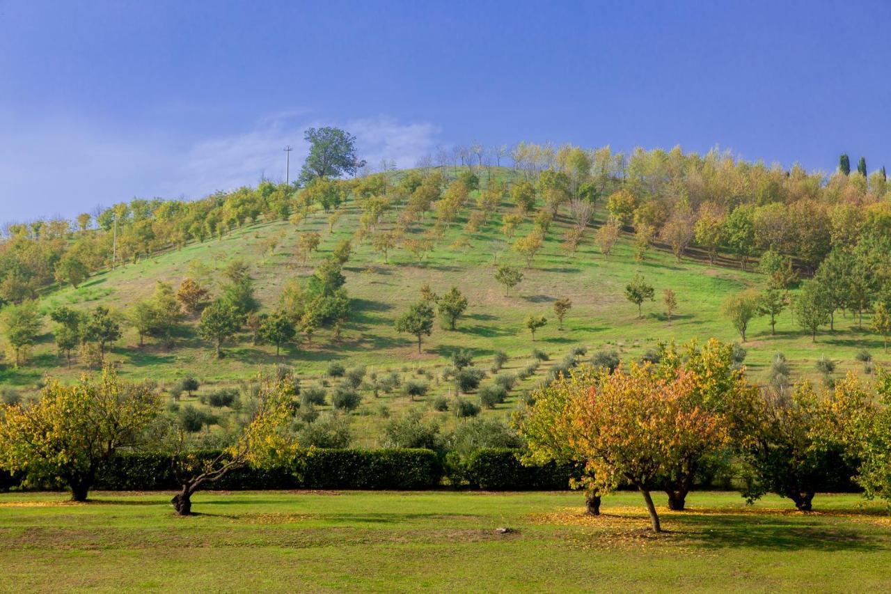 Ca' Malvasia - Bolognarooms Montecchio  Exteriér fotografie